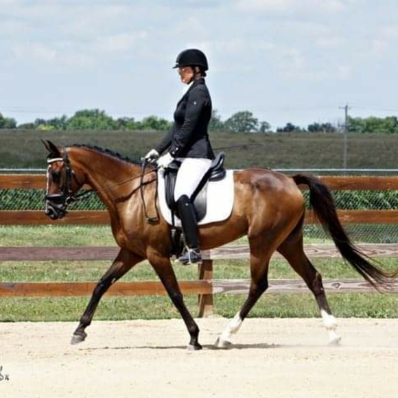 Meet your Posher, Pamela - Picture 4 of 4